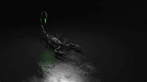 Black Scorpion Wallpapers - Top Free Black Scorpion Backgrounds