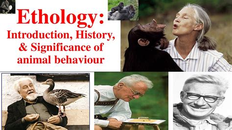 Ethology Animal Behaviour Introduction Of Ethology History Of