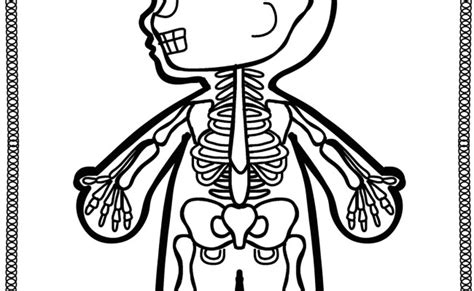 Cuaderno Del Cuerpo Humano Para Colorear Imagenes Educativas Esquema