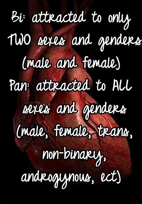 Bi Attracted To Only Two Sexes And Genders Male And Female Pan Attracted To All Sexes And