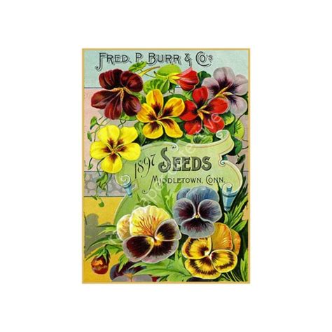 Antique Flower Garden Seed Catalog Print 5 X 7 1897 Patio Etsy