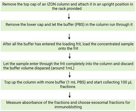 A Flowchart Depicting The Steps Involved In Exosome Purification Using