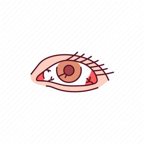 Red Eye Disease Capillaries Icon Download On Iconfinder
