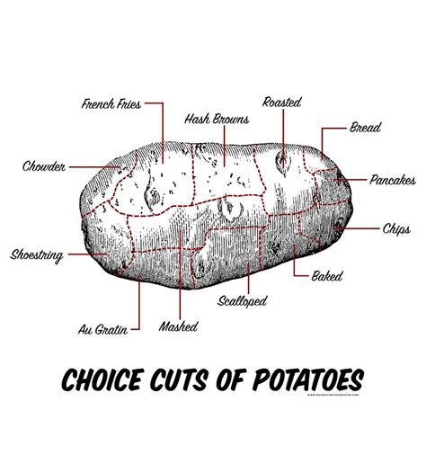 A Diagram Of The Parts Of A Potato