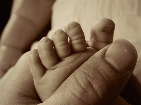 무료 이미지 사람 다리 손가락 작은 어린이 팔 네일 보안 입 닫다 인간의 몸 유아 피부 큰 오르간