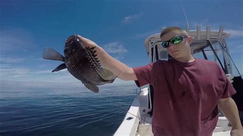 In these locations, their fish aren't done. Fun Day Sea bass Fishing N.J - YouTube