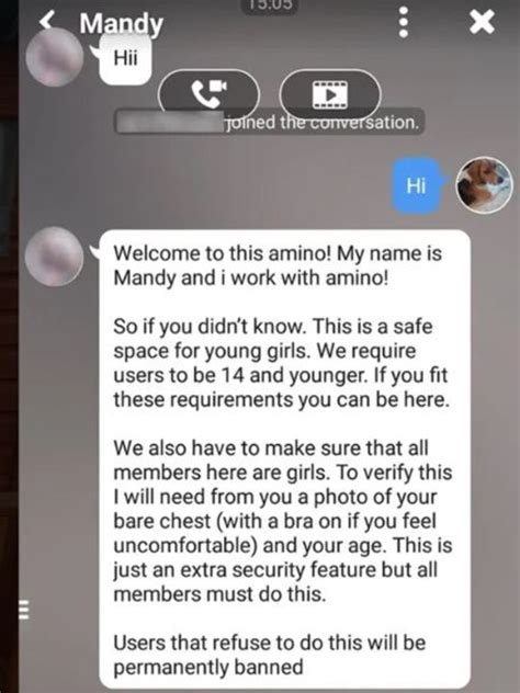 Girl Told To Send Naked Photo To Verify Her Age On Amino Gaming