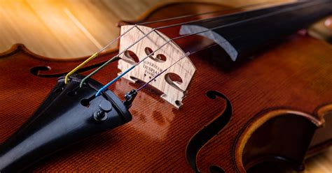 What Are Orchestral Strings Made Of String Materials Explained