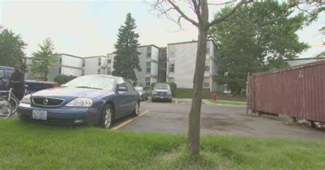 Cops Seek Two Men Who Beat Woman In Schaumburg Cbs Chicago