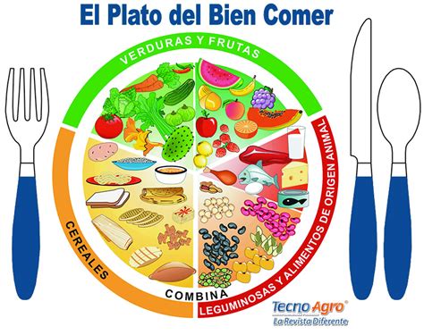 El Plato Del Bien Comer Salud Y Sabor Secretar A De Agricultura Y Hot