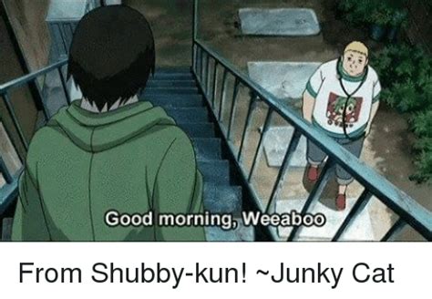 Good Morning Weeaboo From Shubby Kun ~junky Cat Cats Meme On Meme