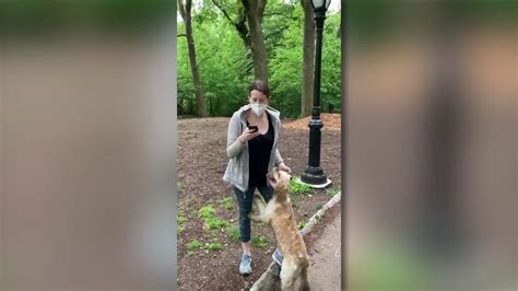 calls grow for criminal charges in racist central park incident