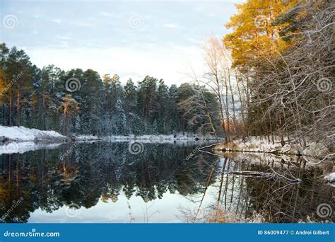 Symmetrical Reflection In Water Autumn Snowy Forest Stock Image Image