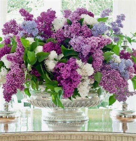 French Lilacs 💜 Flower Arrangements Beautiful Flower Arrangements