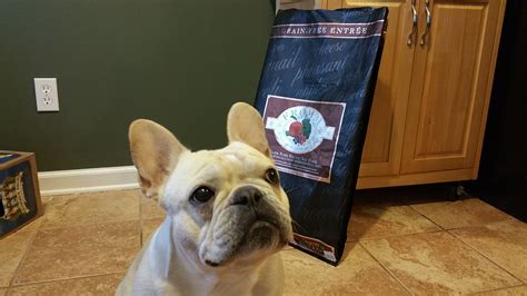 The good news is that you can always change their diet up, as needed. Best Food for French Bulldogs - Don't Feed Your Frenchie ...