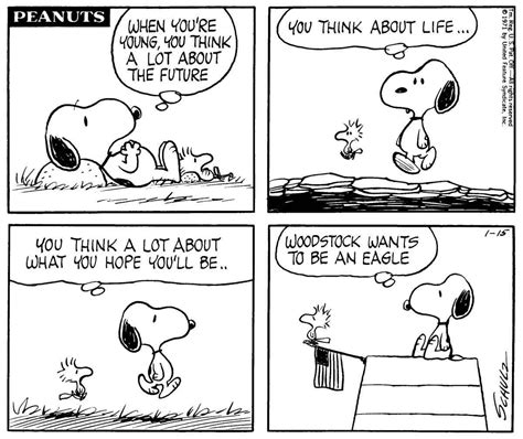 Pin By Lynn Northmore On The Peanuts Gang Snoopy Comics Snoopy Funny