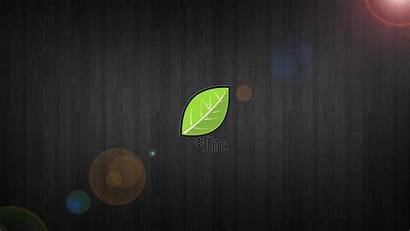 Linux Wallpapers Mint