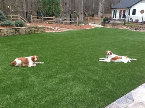 Softlawn Pet Turf Fake Grass For Dogs Synthetic Turf International