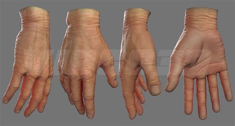 Realistic Man Hand Source 3d Model