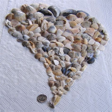 132 Natural Sea Shells Shell Fragments Art Mosaic Craft Etsy