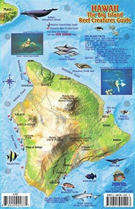 Buy Map Hawaii The Big Island Reef Creatures Guide By Frankos Maps