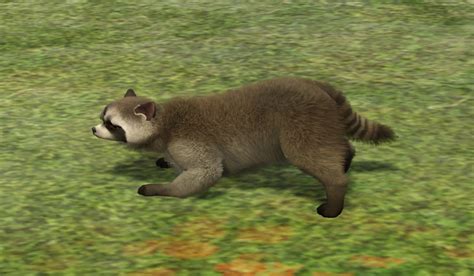 Sims 4 Raccoon Cc