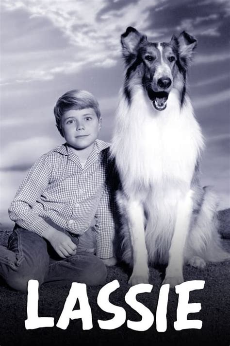 Lassie Smile Of A Child Tv Wiki Fandom