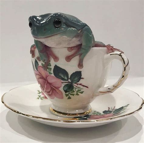 Get up to 20% off. Is that a frog in my cup? in 2020 | Cute frogs, Frog ...