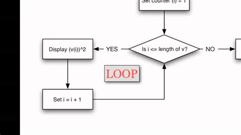 For Loops Matlab Loxaturkey