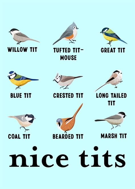Nice Tits Christmas Funny Poster By Qwertydesigns Displate