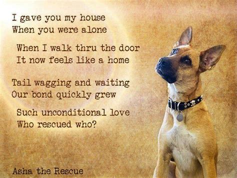 With all of the options we offer, your pets will be well taken care of with a customized plan that fits their specific needs. My rescue dog changed my life. I love you Romeo and Jelly ...