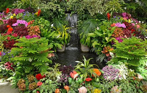 10 Tropical Ideas To Make Your Garden An Exotic Oasis My