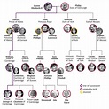 The Complete British Royal Family Tree and Succession Line | British ...