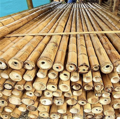 Bamboo Poles For Sale Building Supplies The Supply Scout