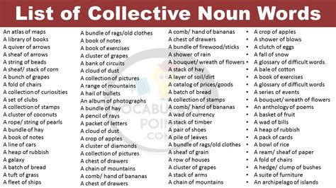 What Is A Collective Noun Example Archives Vocabulary Point