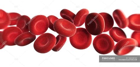 Normal Red Blood Cells — Anatomical Artwork Stock Photo 160228162