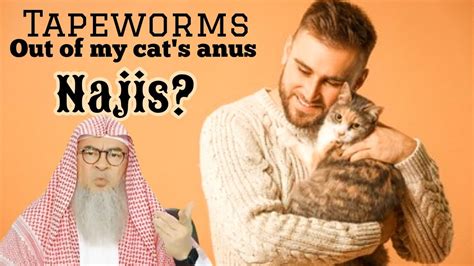 tapeworms come out of my cat s anus is it impure najis if i play with my cat assim assim al