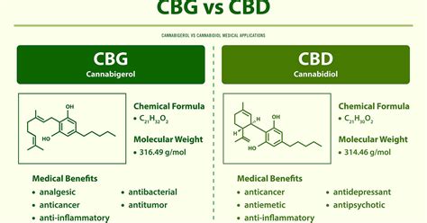The Ultimate Guide To Cbg Benefits And Uses