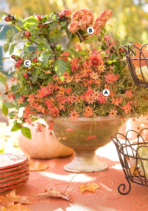 Liven Up Your Fall Garden With These Stunning Container Garden Ideas