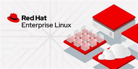 Die Besten Alternativen Zu Red Hat Enterprise Linux Rhel Jetzt Finden