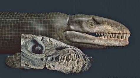 T.rex-size crocodiles ruled the ancient seas | Fox News