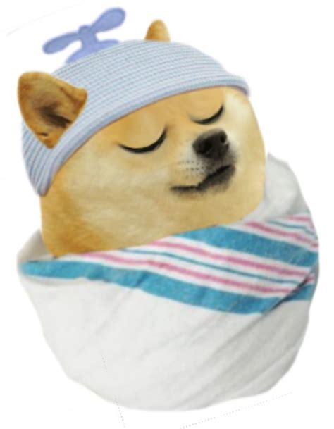 Le Baby Lil Bro Has Arrived Rdogelore Ironic Doge Memes In 2021