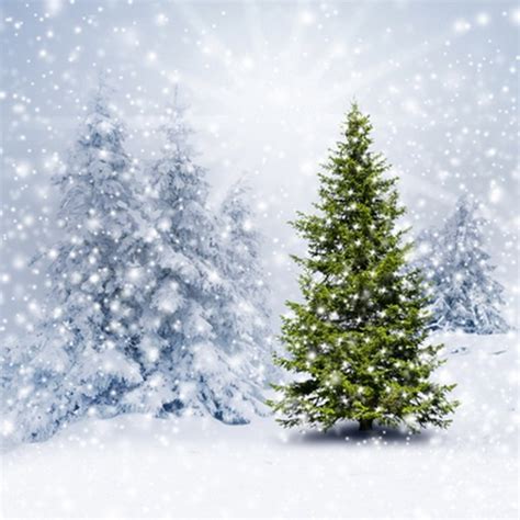 10x10ft Snow Flakes Winter Wonderland Pine Trees Forest Snowflakes
