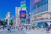 澀谷、原宿、表參道 購物指南 / 東京旅遊官方網站GO TOKYO