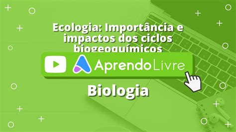 Biologia Ecologia Importância E Impactos Dos Ciclos Biogeoquímicos