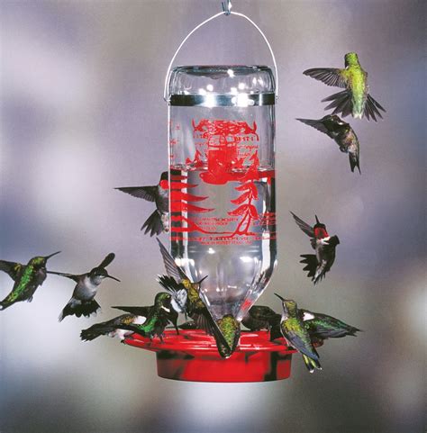 Sphere Hummingbird Feeder Yardbirds