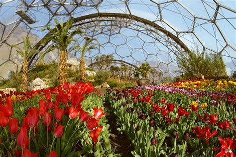 The Eden Project 7 Top Facts
