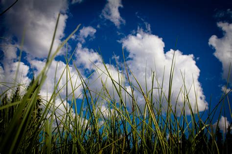 Free Stock Photo Of Clouds Grass Nature