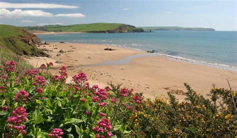 Venus Café Bigbury On Sea Kingsbridge Visit South Devon