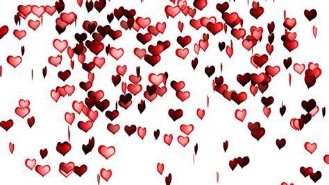 Hearts Flying Animation Valentine Day Stock Footage Video 100